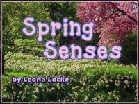 Spring_Senses